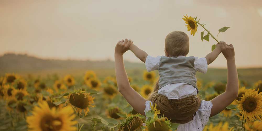 zonnebloem-veld-ouders-tandarts-tandheelkunde-kinderen-kindertandarts-winstar-tandverzorging-slider2